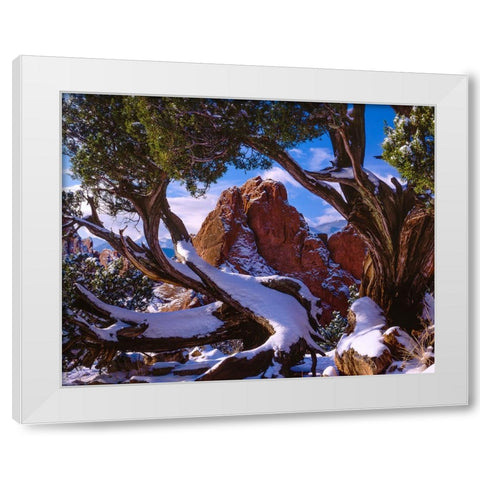 Framed By Nature White Modern Wood Framed Art Print by Sherrell, Bill
