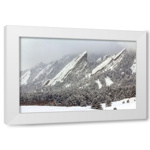 Frozen Rapture White Modern Wood Framed Art Print by Sherrell, Bill