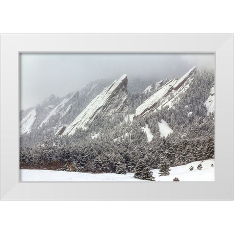 Frozen Rapture White Modern Wood Framed Art Print by Sherrell, Bill