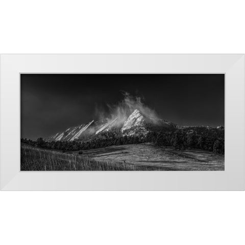 Frozen Whimsey-Black And White White Modern Wood Framed Art Print by Sherrell, Bill