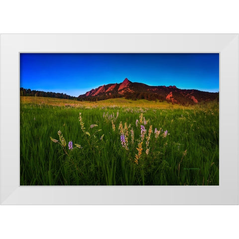 Glowing Flatirons And Wildflowers White Modern Wood Framed Art Print by Sherrell, Bill