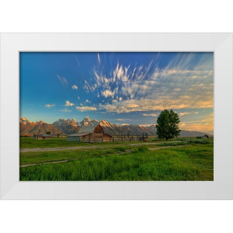Golden Teton Morning White Modern Wood Framed Art Print by Sherrell, Bill