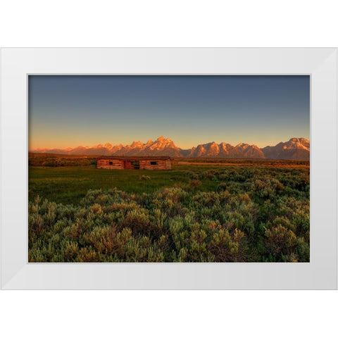 Hardship Amidst Beauty White Modern Wood Framed Art Print by Sherrell, Bill