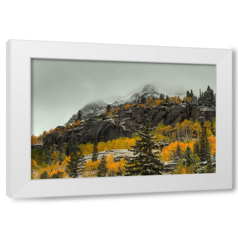 In The Wake Of Autumn White Modern Wood Framed Art Print by Sherrell, Bill