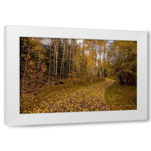 Last Chance Romance White Modern Wood Framed Art Print by Sherrell, Bill