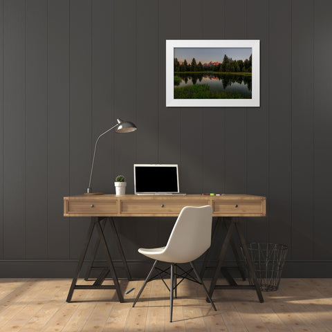 Morning Glory White Modern Wood Framed Art Print by Sherrell, Bill