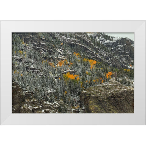 Mountain Lace And Autumn Pockets White Modern Wood Framed Art Print by Sherrell, Bill