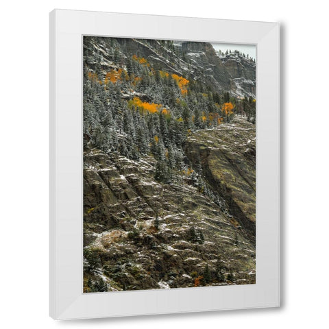 Outlines And Color Slivers White Modern Wood Framed Art Print by Sherrell, Bill