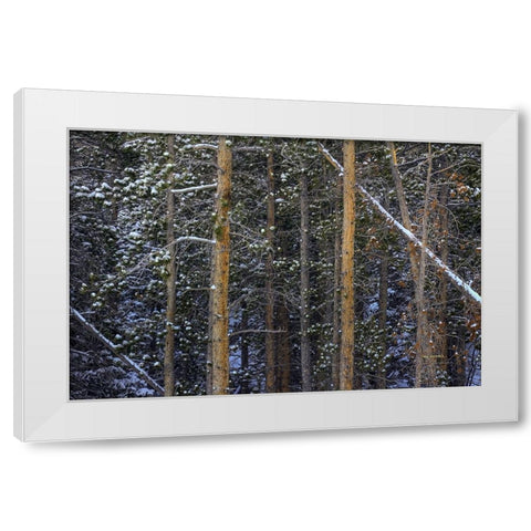 Outlines White Modern Wood Framed Art Print by Sherrell, Bill