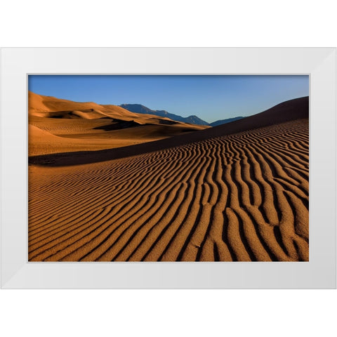 Pebble On A Sand Dune White Modern Wood Framed Art Print by Sherrell, Bill