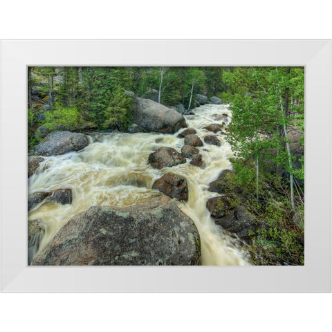 Rapid Change White Modern Wood Framed Art Print by Sherrell, Bill