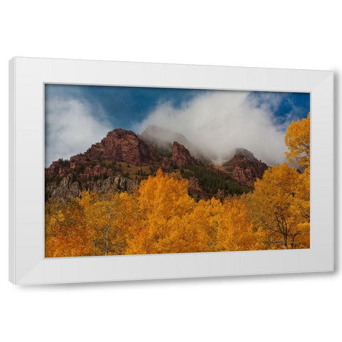 Ruggedness Unveiled White Modern Wood Framed Art Print by Sherrell, Bill