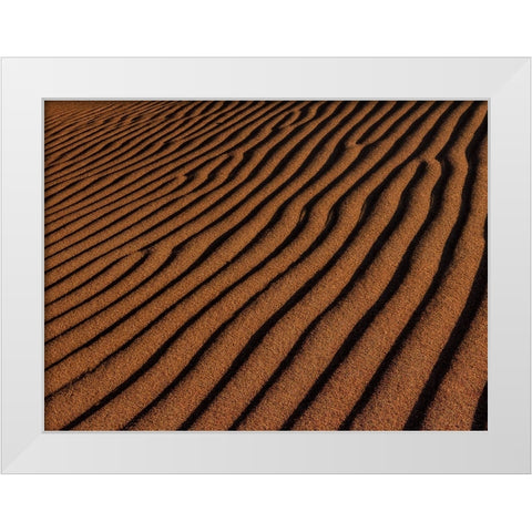 Sand Ripples White Modern Wood Framed Art Print by Sherrell, Bill