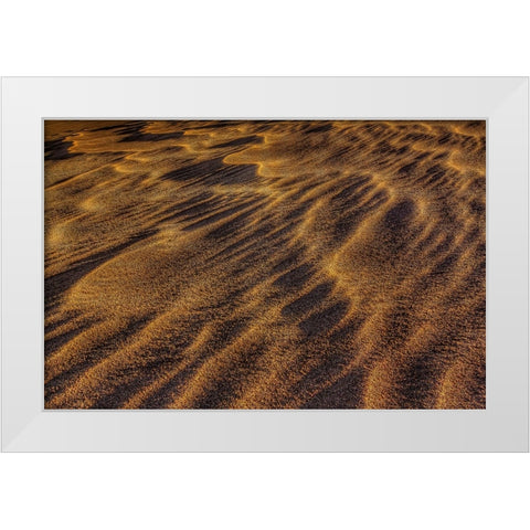 Sandwaves White Modern Wood Framed Art Print by Sherrell, Bill