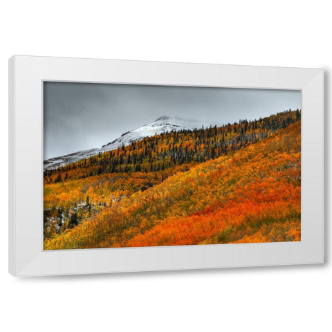 Shades Of Autumn White Modern Wood Framed Art Print by Sherrell, Bill