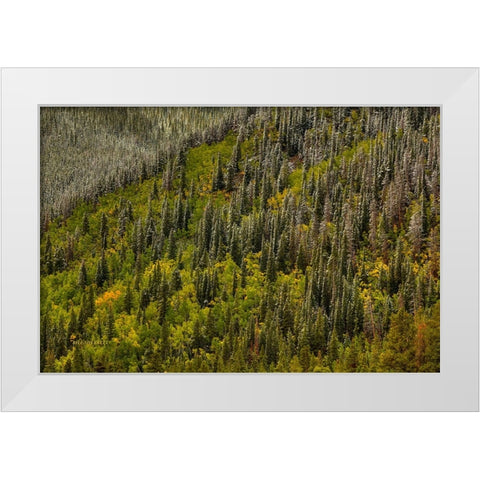 Snowspires White Modern Wood Framed Art Print by Sherrell, Bill