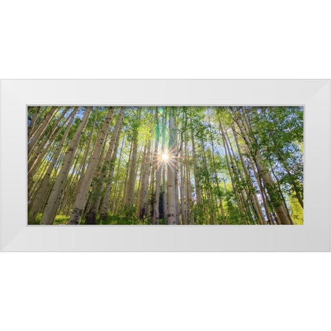 Starshine White Modern Wood Framed Art Print by Sherrell, Bill