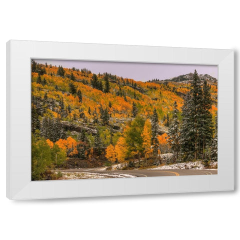 Switchback Autumn White Modern Wood Framed Art Print by Sherrell, Bill