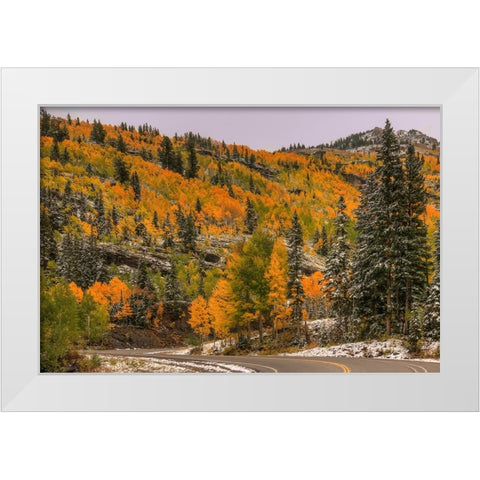 Switchback Autumn White Modern Wood Framed Art Print by Sherrell, Bill