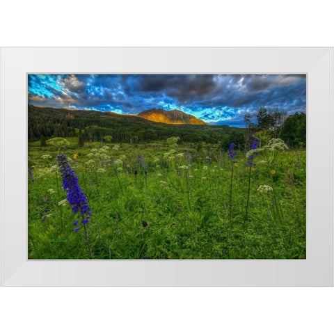 The Dawning Of Majesty White Modern Wood Framed Art Print by Sherrell, Bill