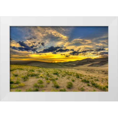 The Edge Of Life White Modern Wood Framed Art Print by Sherrell, Bill