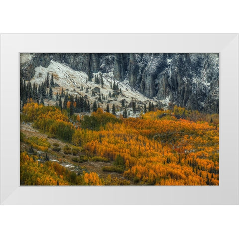 The Fragile And The Strong White Modern Wood Framed Art Print by Sherrell, Bill