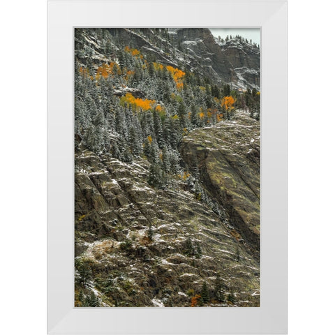 White Lace And Autumn Slivers White Modern Wood Framed Art Print by Sherrell, Bill