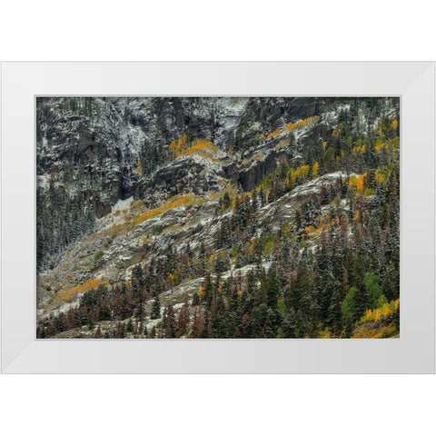 White Lace And Colored Ridges White Modern Wood Framed Art Print by Sherrell, Bill