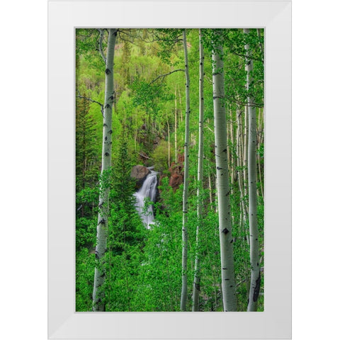 Wilderness Falls White Modern Wood Framed Art Print by Sherrell, Bill