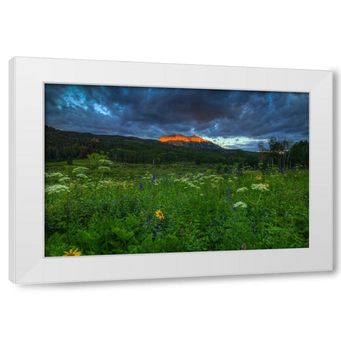 Wildflowers And Mountain Majesty White Modern Wood Framed Art Print by Sherrell, Bill
