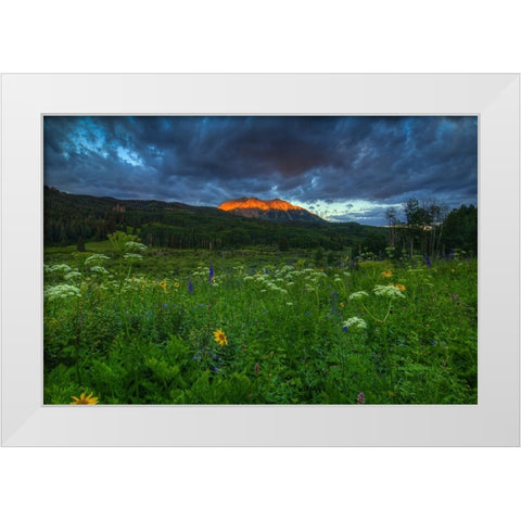 Wildflowers And Mountain Majesty White Modern Wood Framed Art Print by Sherrell, Bill