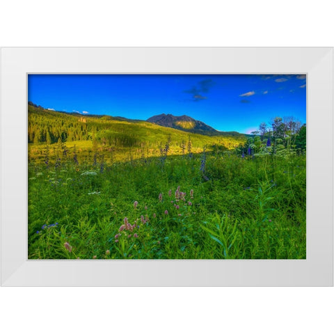 Wildflowers And Windows Of Light White Modern Wood Framed Art Print by Sherrell, Bill