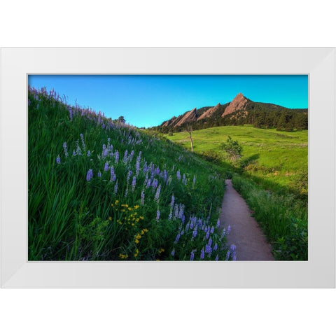 A Walk On The Wild Side White Modern Wood Framed Art Print by Sherrell, Bill