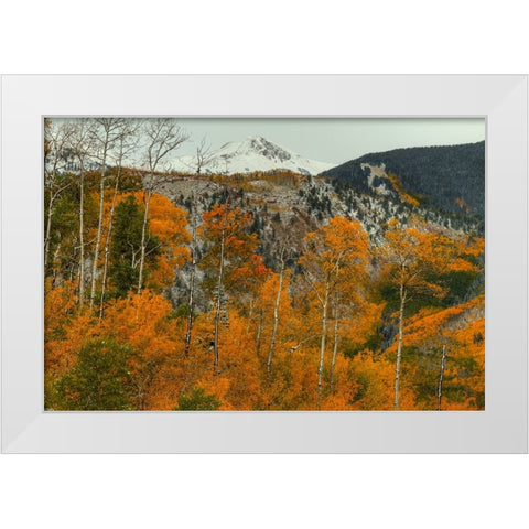 Aspen Outlines White Modern Wood Framed Art Print by Sherrell, Bill
