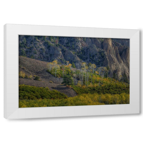 Aspen Sprites White Modern Wood Framed Art Print by Sherrell, Bill