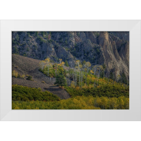 Aspen Sprites White Modern Wood Framed Art Print by Sherrell, Bill