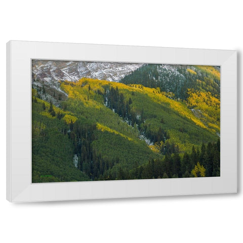 Autumn Angles White Modern Wood Framed Art Print by Sherrell, Bill