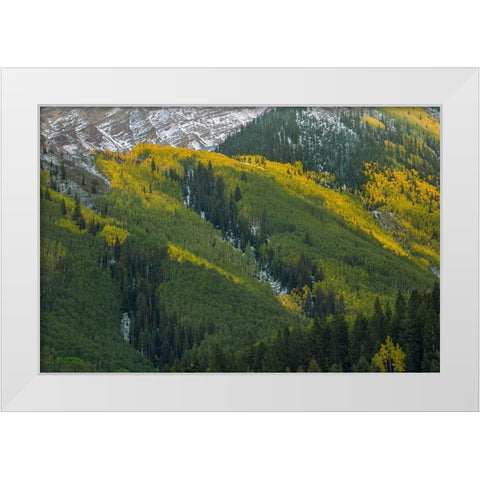Autumn Angles White Modern Wood Framed Art Print by Sherrell, Bill