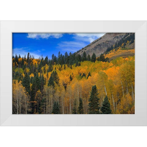 Autumn Dream White Modern Wood Framed Art Print by Sherrell, Bill