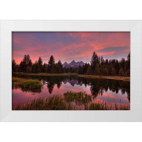 Twilight Serenade White Modern Wood Framed Art Print by Sherrell, Bill