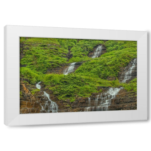 Waterfall Encounter White Modern Wood Framed Art Print by Sherrell, Bill