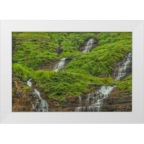 Waterfall Encounter White Modern Wood Framed Art Print by Sherrell, Bill