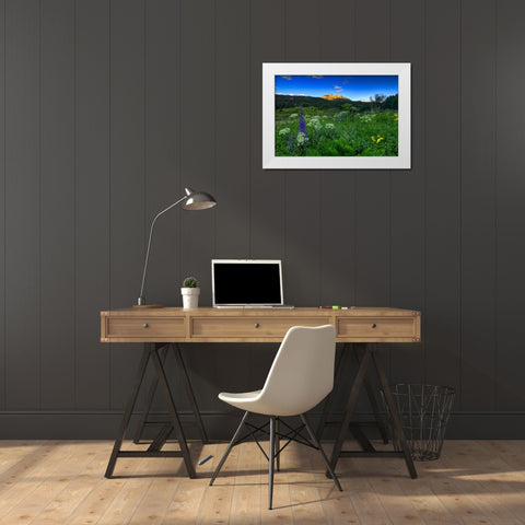 Wildflower Mountain Sunrise White Modern Wood Framed Art Print by Sherrell, Bill