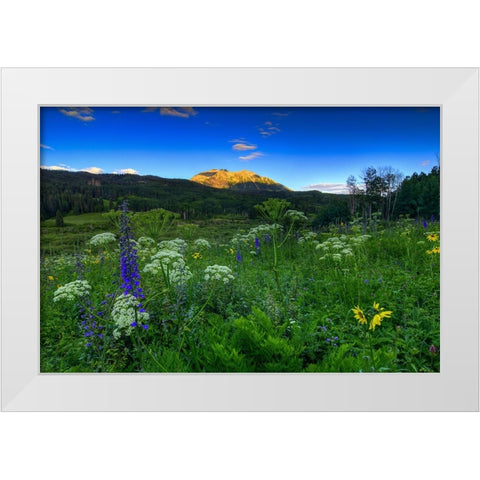 Wildflower Mountain Sunrise White Modern Wood Framed Art Print by Sherrell, Bill