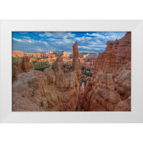 A Journey Through Bryce Canyon-Utah White Modern Wood Framed Art Print by Sherrell, Bill