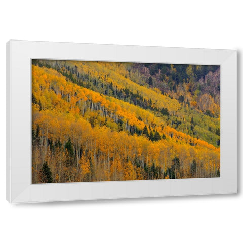 Autumn Rows White Modern Wood Framed Art Print by Sherrell, Bill