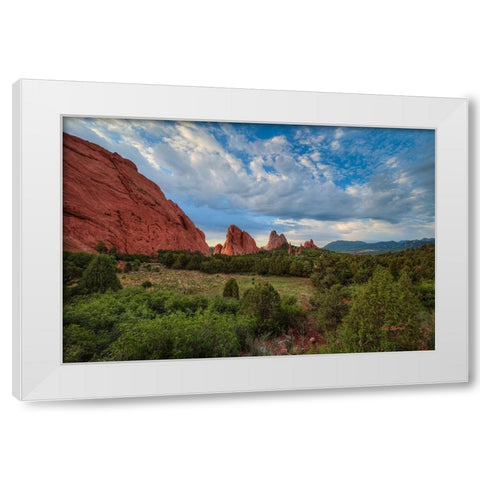 Beauty Eternal White Modern Wood Framed Art Print by Sherrell, Bill