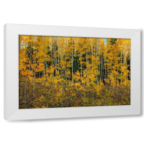 Bursting Into Autumn White Modern Wood Framed Art Print by Sherrell, Bill