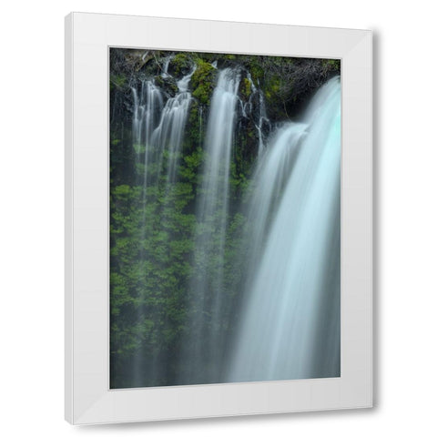 Drapes Of Grace White Modern Wood Framed Art Print by Sherrell, Bill