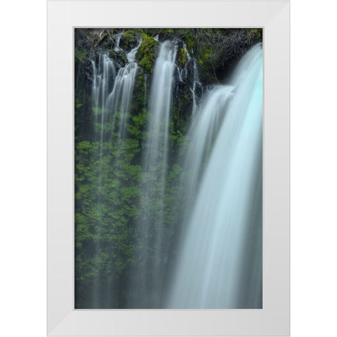 Drapes Of Grace White Modern Wood Framed Art Print by Sherrell, Bill